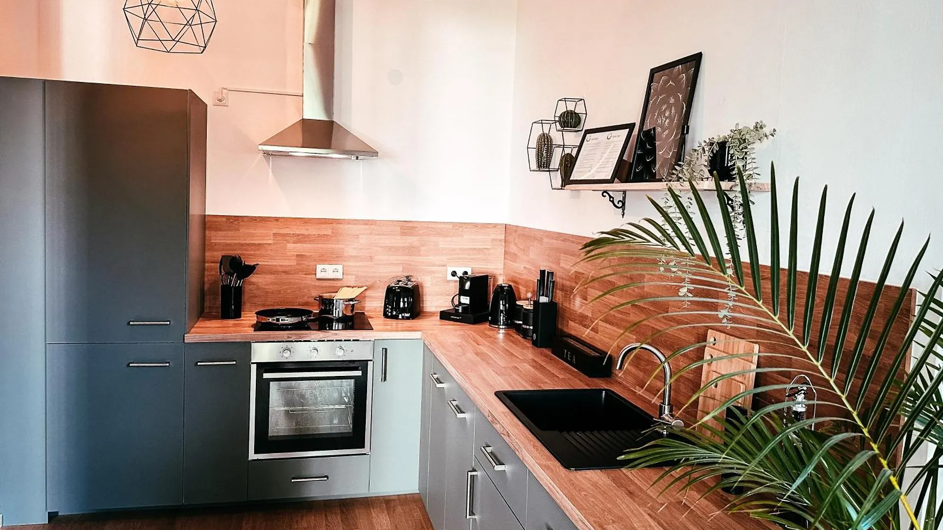 Oasis Appart - Wohnen Im Koenigspark - Elbhang Dresden - Grosse Terrasse - Netflix - Tg